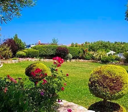 Aphrodite 3* Kallithea (Chalkidiki)